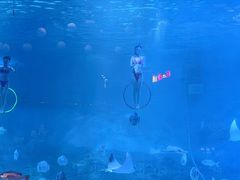 -烟台海昌鲸鲨海洋公园