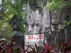 -深圳国际园林花卉博览园