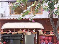 -溪岸路花鸟市场