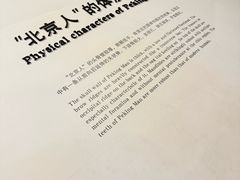 -北京周口店北京人遗址博物馆