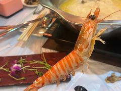 -鲜入围煮花胶鸡海鲜火锅