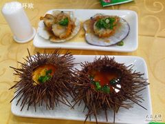 海胆-海岛渔村大酒店(云霄路店)