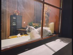 -IFIF 如果花園(宽厚里店)