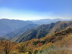 -大岭沟猕猴桃谷风景区