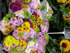 -卷心卷意·轻甜蛋糕(新光天地店)