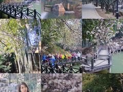 -宝岩生态观光园