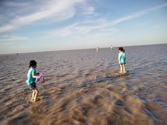 -南汇嘴观海公园