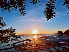 -宝安西湾红树林湿地公园