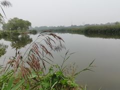 -西安浐灞国家湿地公园
