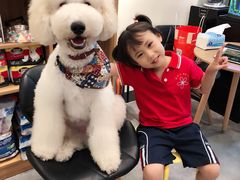 -小尾巴宠物店(万科·金域华庭店)