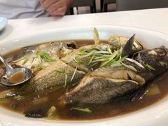-青岛蓝海大饭店·渔歌舫(李沧店)