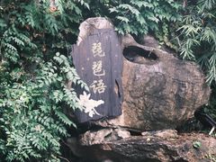 -琵琶语评弹茶馆(苏州平江路店)