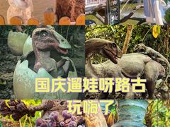 -呀路古热带植物园