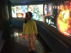 -上海昆虫博物馆