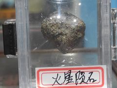 -志强陨石馆(双季花艺店)