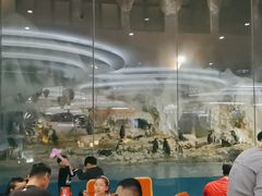 -帝企鹅自助餐厅•儿童岛•真企鹅(长隆企鹅酒店)