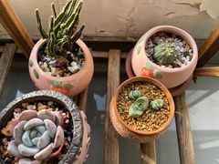 -上海第119机动车安全检测站