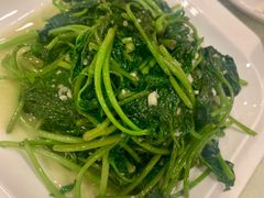 红薯藤-东四民芳餐厅(世茂工三店)