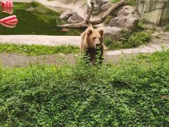 -宁波野生动物园