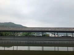 -雁南飞茶田景区