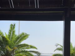 -碧海金沙