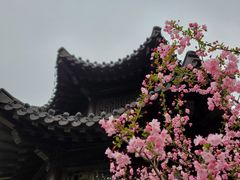 -莫愁湖公园