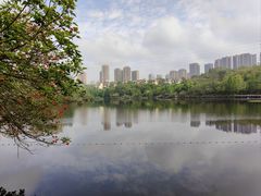 -重庆彩云湖湿地公园