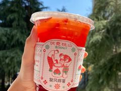 -伏小桃(明瓦廊店)