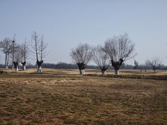 -汉长安城未央宫国家考古遗址公园