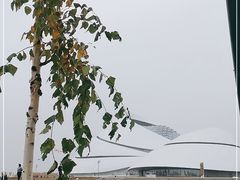 -哈尔滨大剧院
