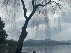 -柳莺湖上·湖景餐厅·江南菜(西湖店)