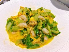 -船歌·鱼水饺青岛菜(太阳宫凯德MALL店)