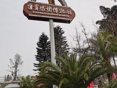 -自贡恐龙博物馆