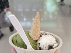 -极拉图·现制冰淇淋(大卫城店)
