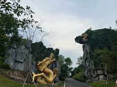 -宜兴龙背山森林公园
