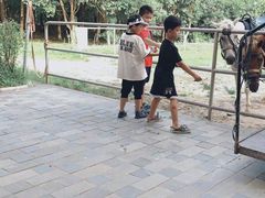 -太阳岛度假酒店