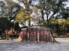 -龙虎山世界地质公园博物馆