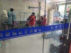 -贝妮宠物医院