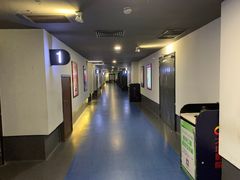 -大地影院(上海南汇店)