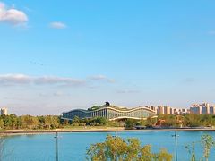 -东方美谷JW万豪酒店·The lounge大堂吧