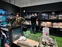 -FAIRYLAND龙族星球主题餐厅(凯丹广场店)