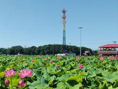 -嘉北郊野公园