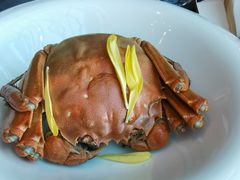 -蟹榭·本帮江浙菜·蟹宴(五角场合生汇商场店)