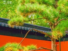-南昌青山湖风景区
