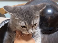 -宠福鑫动物医院(城北分院)