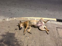 -Ministry of Crab(科伦坡店)