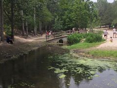 -白水寺森林公园