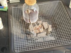 -裕龙汤泉