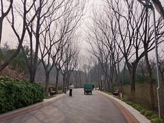 -郑州植物园