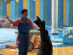 -海合安成都极地海洋公园